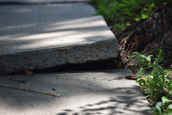 Cost of Sidewalk Leveling in Lenoir City