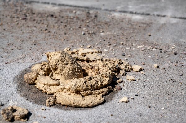 Cost of Driveway Slab Leveling in Lenoir City